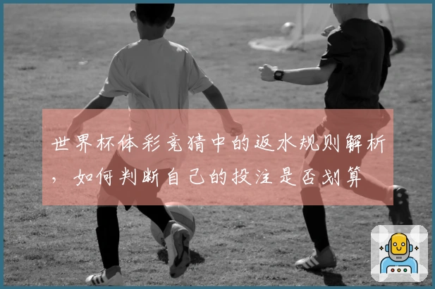 世界杯体彩竞猜中的返水规则解析，如何判断自己的投注是否划算