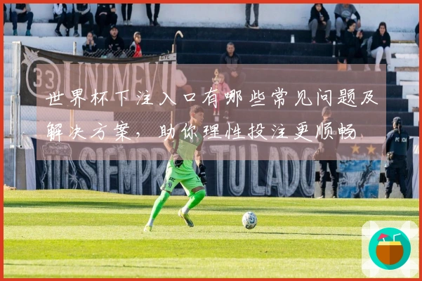 世界杯下注入口有哪些常见问题及解决方案，助你理性投注更顺畅