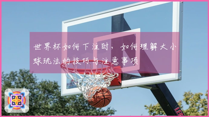 世界杯如何下注时，如何理解大小球玩法的技巧与注意事项