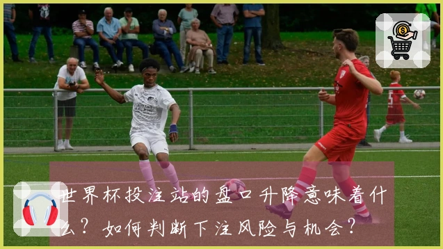 世界杯投注站的盘口升降意味着什么？如何判断下注风险与机会？