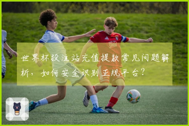 世界杯投注站充值提款常见问题解析，如何安全识别正规平台？