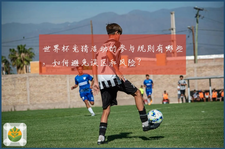 世界杯竞猜活动的参与规则有哪些，如何避免误区和风险？