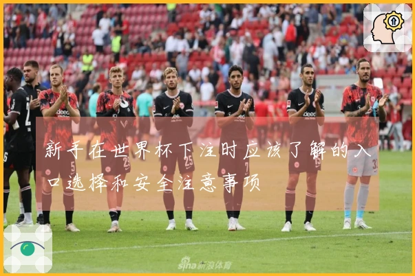 新手在世界杯下注时应该了解的入口选择和安全注意事项