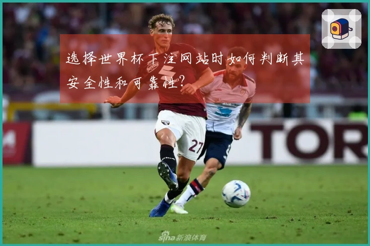 选择世界杯下注网站时如何判断其安全性和可靠性？