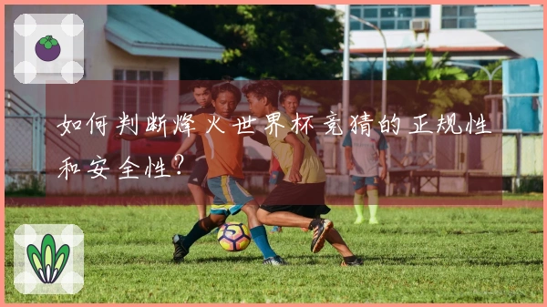 如何判断烽火世界杯竞猜的正规性和安全性？