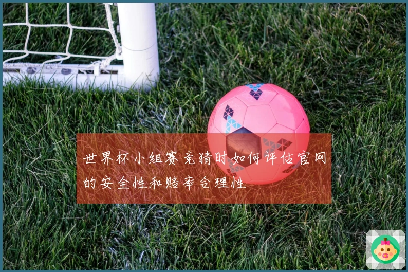 世界杯小组赛竞猜时如何评估官网的安全性和赔率合理性