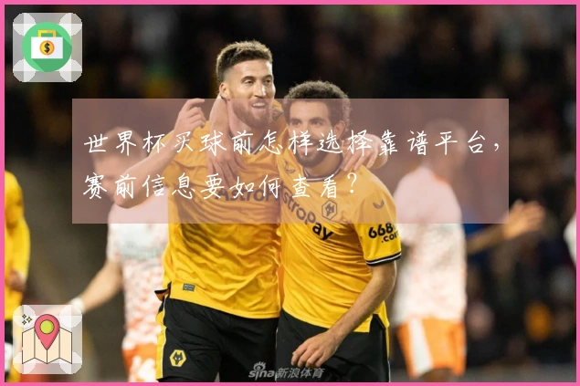 世界杯买球前怎样选择靠谱平台，赛前信息要如何查看？