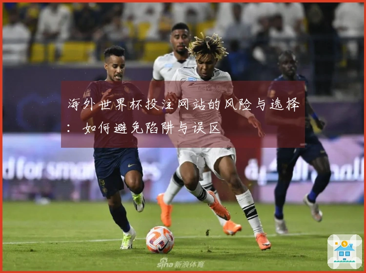 海外世界杯投注网站的风险与选择：如何避免陷阱与误区
