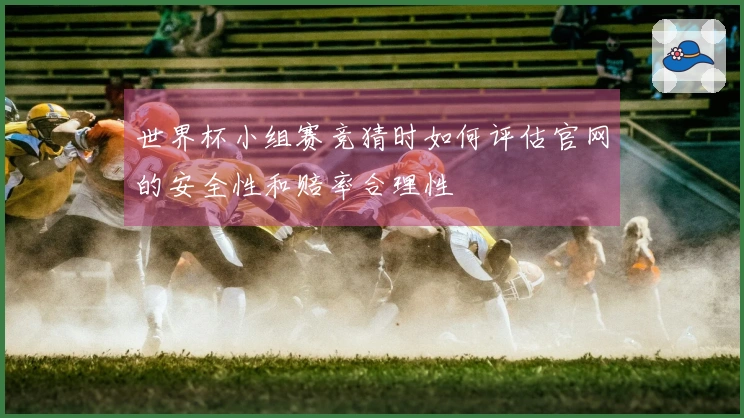 世界杯小组赛竞猜时如何评估官网的安全性和赔率合理性