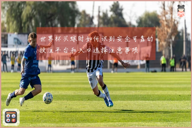 世界杯买球时如何识别安全可靠的投注平台和入口选择注意事项
