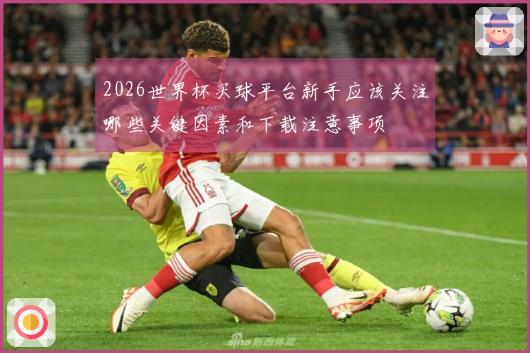 2026世界杯买球平台新手应该关注哪些关键因素和下载注意事项