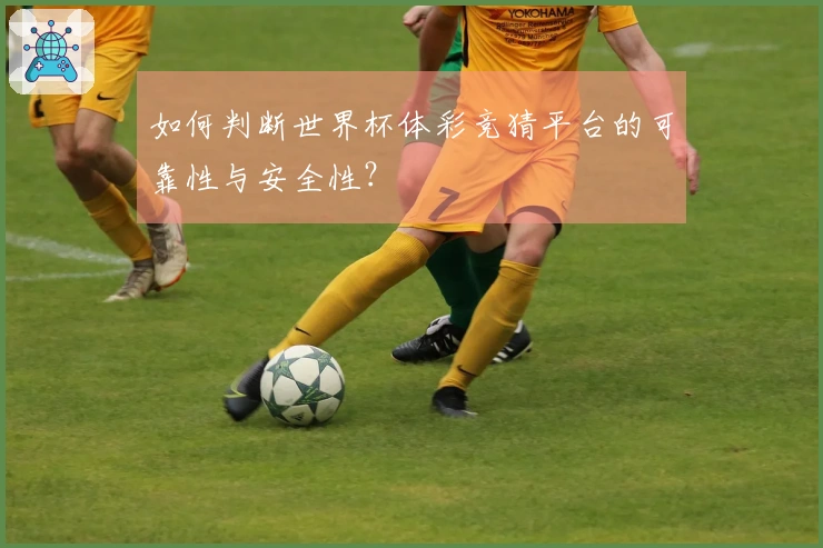 如何判断世界杯体彩竞猜平台的可靠性与安全性？
