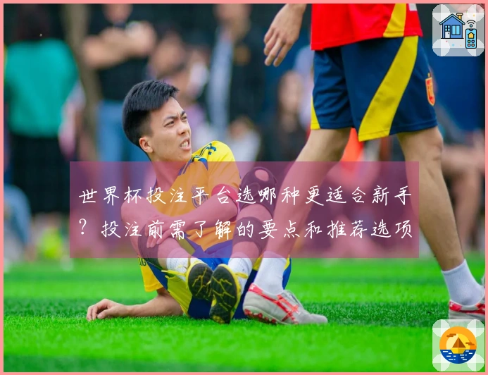 世界杯投注平台选哪种更适合新手？投注前需了解的要点和推荐选项