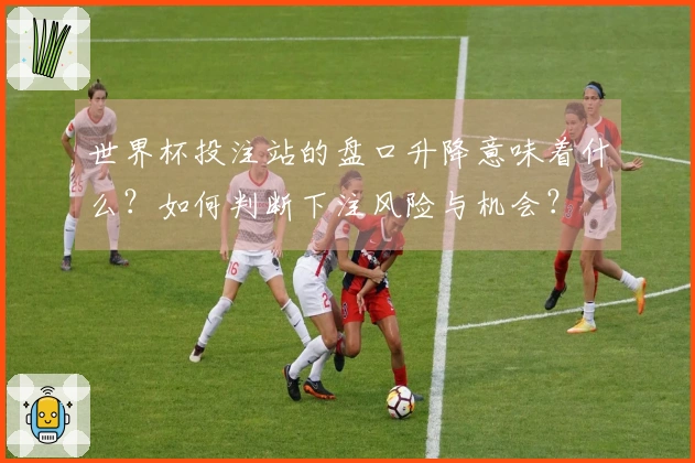 世界杯投注站的盘口升降意味着什么？如何判断下注风险与机会？