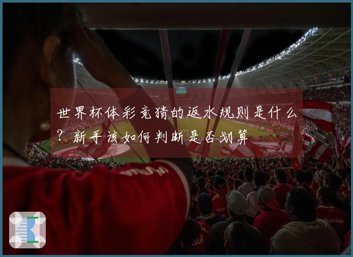 世界杯体彩竞猜的返水规则是什么？新手该如何判断是否划算