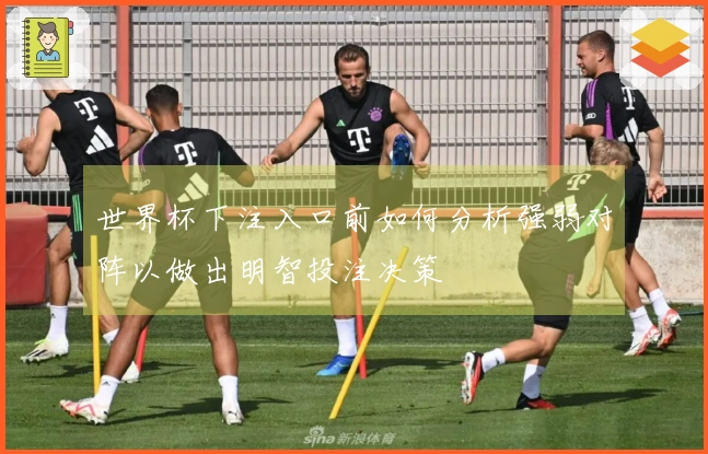 世界杯下注入口前如何分析强弱对阵以做出明智投注决策