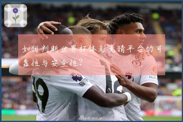 如何判断世界杯体彩竞猜平台的可靠性与安全性？