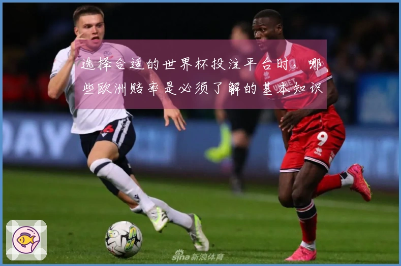 选择合适的世界杯投注平台时，哪些欧洲赔率是必须了解的基本知识？