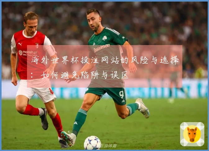 海外世界杯投注网站的风险与选择：如何避免陷阱与误区
