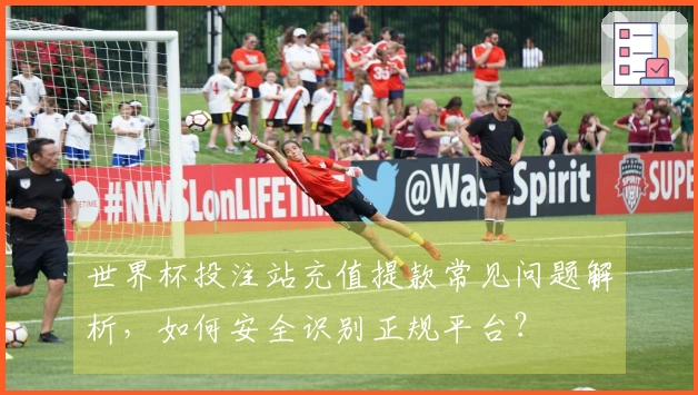 世界杯投注站充值提款常见问题解析，如何安全识别正规平台？