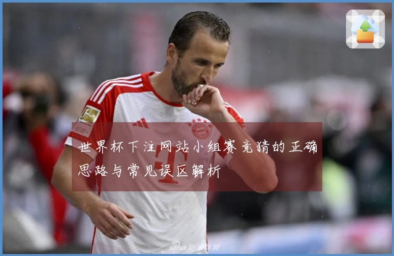 世界杯下注网站小组赛竞猜的正确思路与常见误区解析