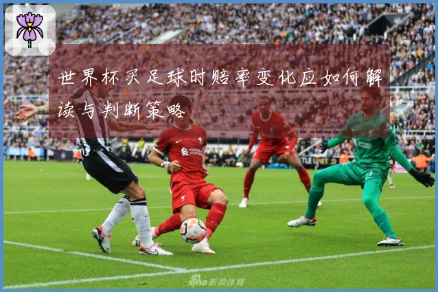 世界杯买足球时赔率变化应如何解读与判断策略
