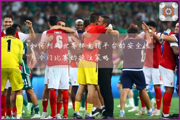 如何判断世界杯竞猜平台的安全性与冷门比赛的投注策略