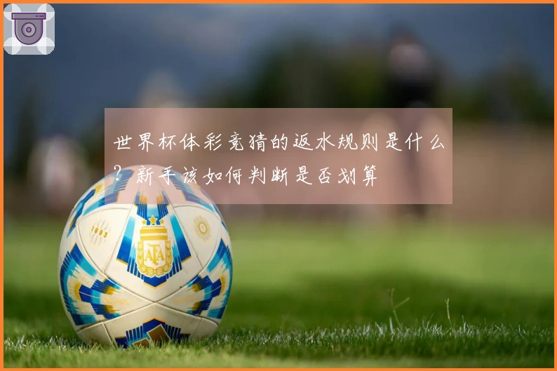 世界杯体彩竞猜的返水规则是什么？新手该如何判断是否划算