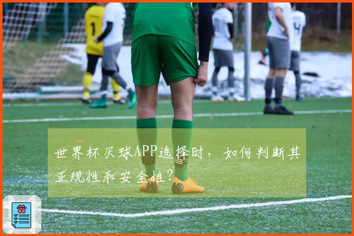 世界杯买球APP选择时，如何判断其正规性和安全性？