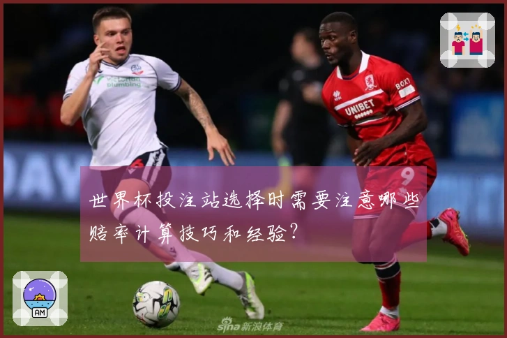 世界杯投注站选择时需要注意哪些赔率计算技巧和经验？